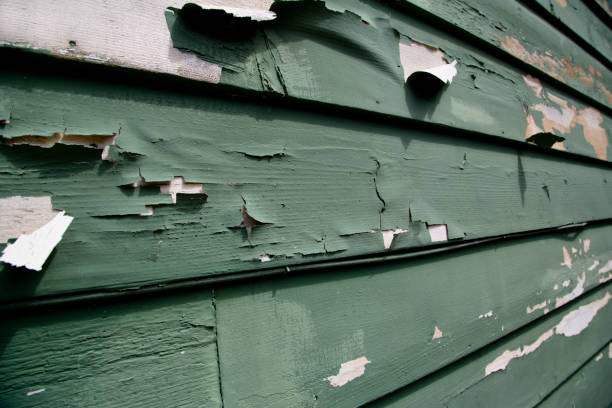 Best Dumpster Rental Services  in Cuthbert, GA